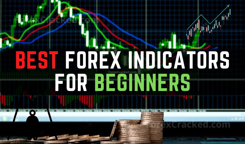 IC Markets Review | Forex Trading Broker Ratings 2024